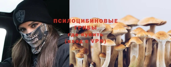 мескалин Алексин