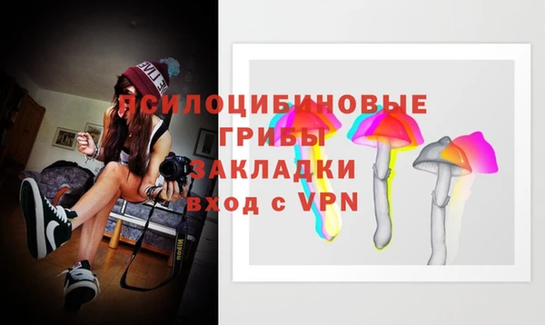 гидра Алзамай