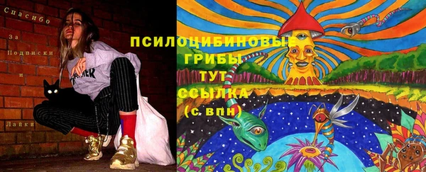кристаллы Дмитриев