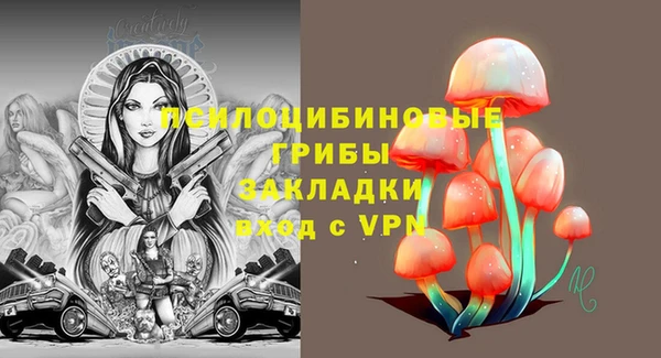 гидра Алзамай