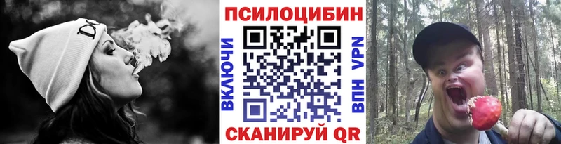 закладки  Новошахтинск  Псилоцибиновые грибы мицелий 