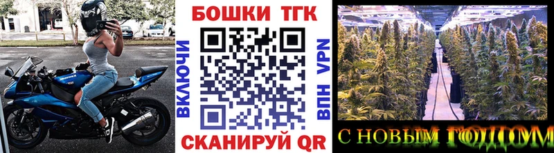 МАРИХУАНА SATIVA & INDICA  Новошахтинск 